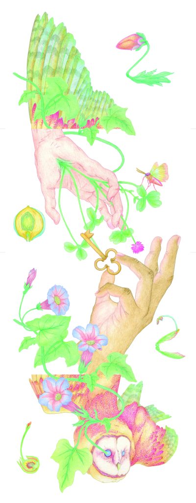 Carte de voeux de Naoned en 2026